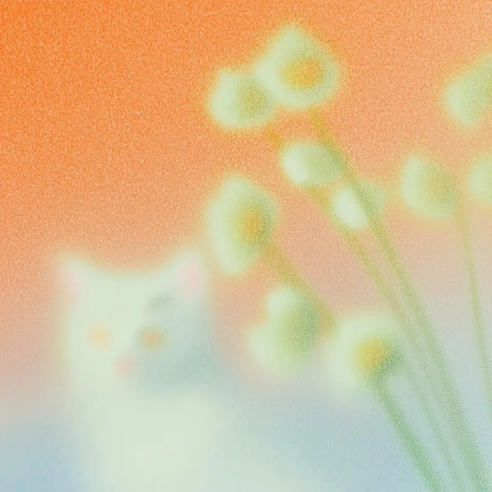 Lumière studio — visuel généré par Antimetric